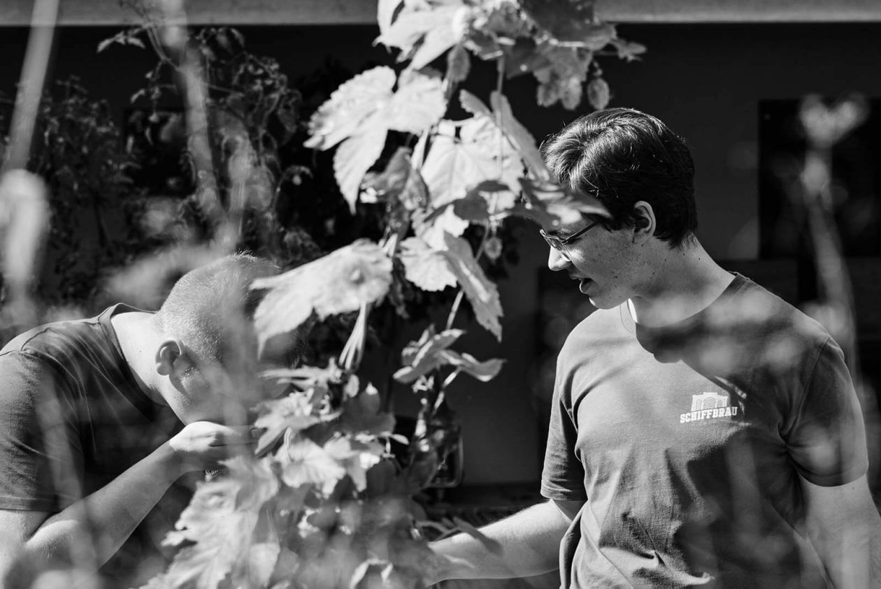 Schwarz Weiss Hopfen